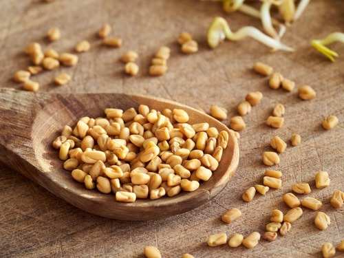 Fenugreek seeds