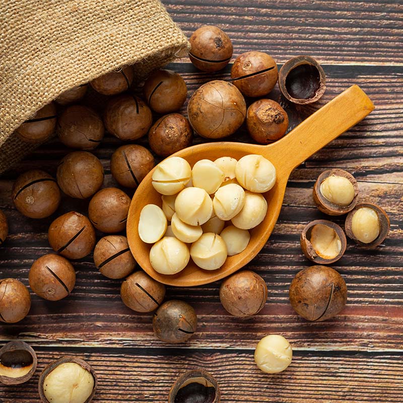 Macadamia nuts_