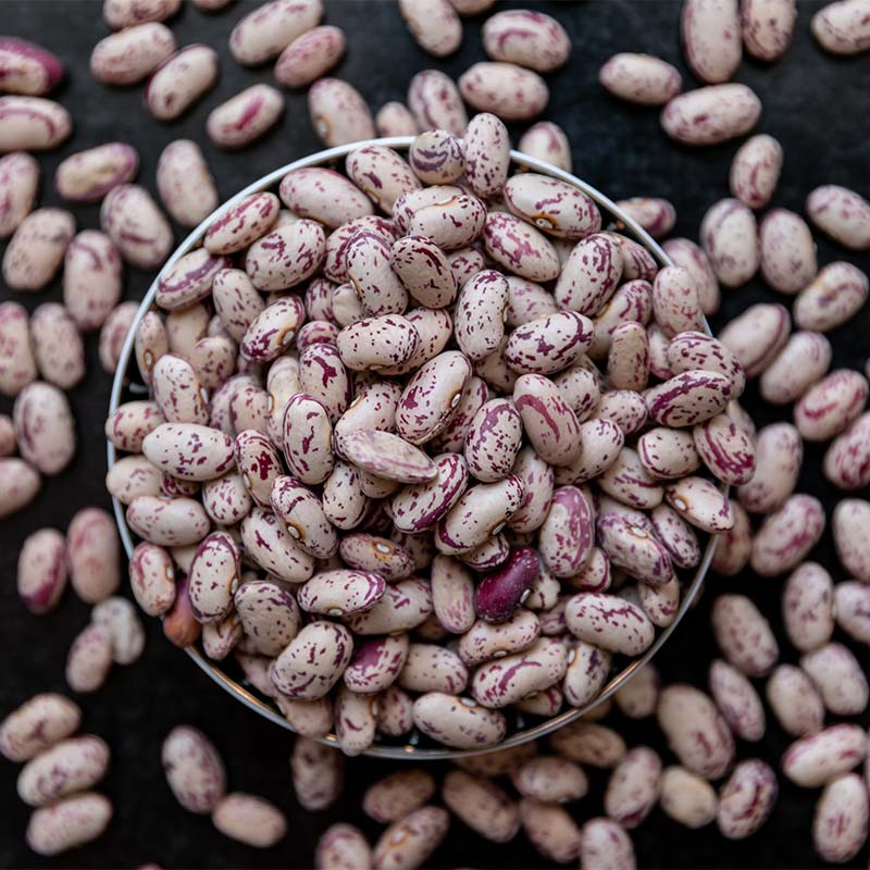 Speckle light kidney beans_