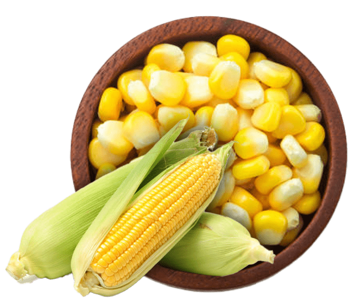 Yellow Corn